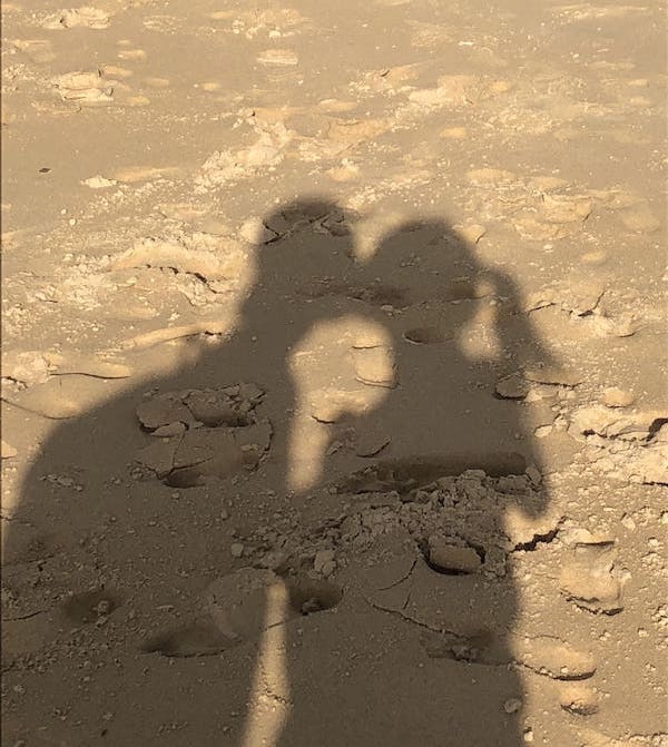 Photo Matthieu Dazord avec background